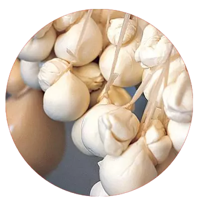 Smoked Scamorza 390 Gms