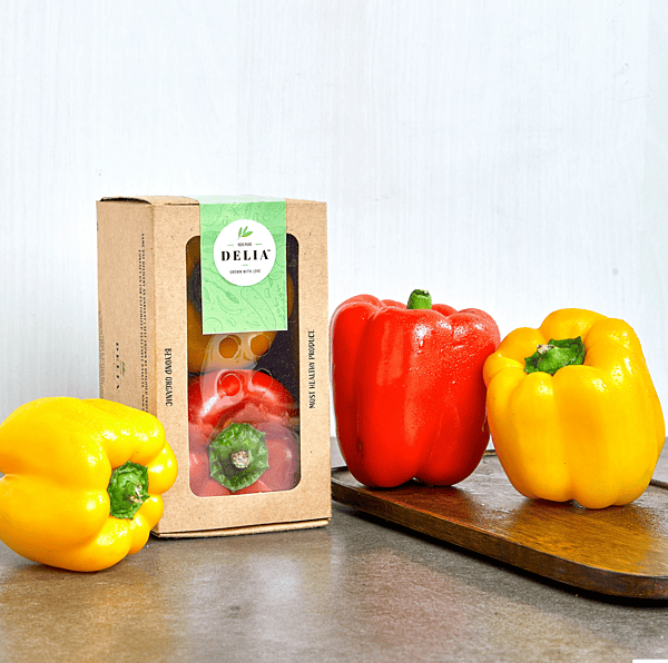 Mixed Colour Bellpepper 2 Pieces (250-400 Gms)