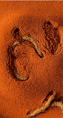 Regular Turmeric Powder