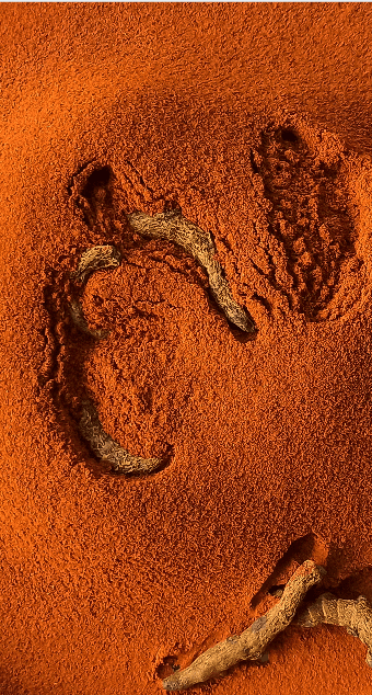 Regular Turmeric Powder