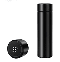 Temperature bottle model 1