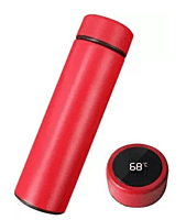 Temperature bottle model 1