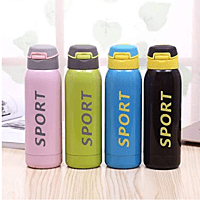 vacuum insulated bottle model 6
