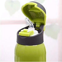 vacuum insulated bottle model 6