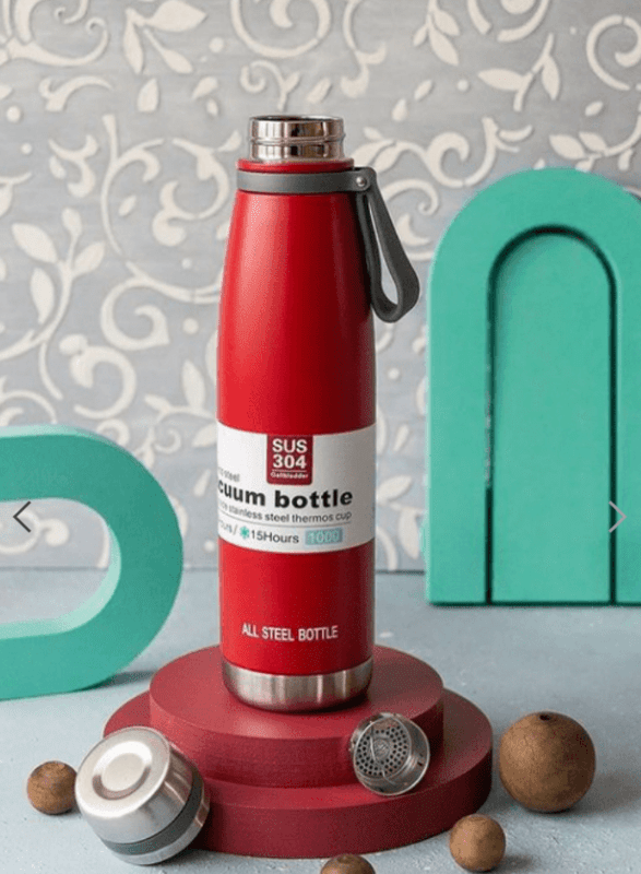 Vacuum insulated bottle model 10(1000 ml)