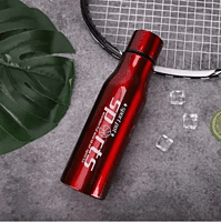 Stainless steel water bottle model 10
