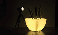 LED Quad - M