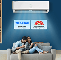 Voltas PureAir Inverter Split AC, 1.5 Ton, 5 Star - 185V Verdant Exotica