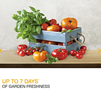 Whirlpool Icemagic Pro 207L 3 Star Single-Door Refrigerator - Steel