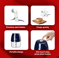 Pigeon Zoom electric  chopper