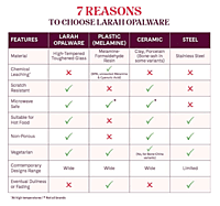 BOROSIL MINI RICE PLATE 1