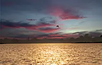 A Serene Evening
