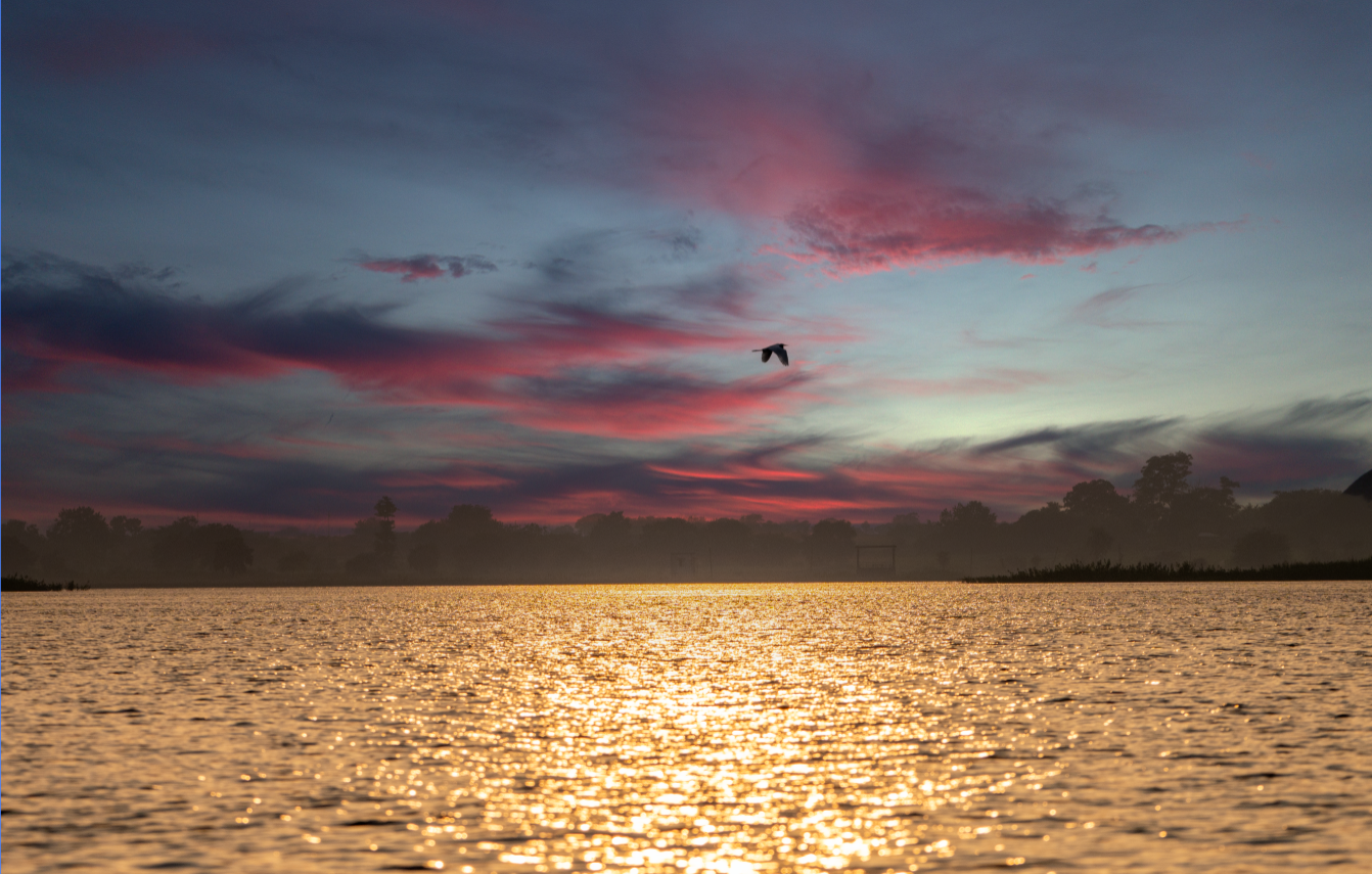A Serene Evening