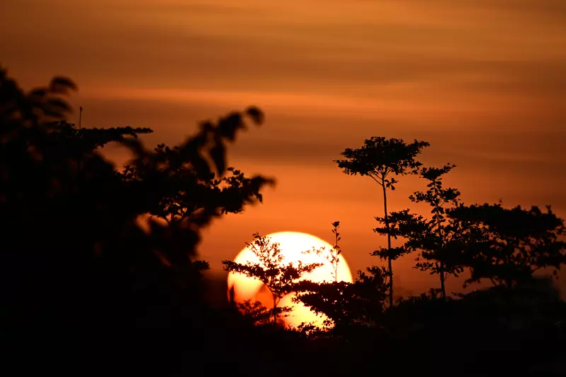 The Sun Rise