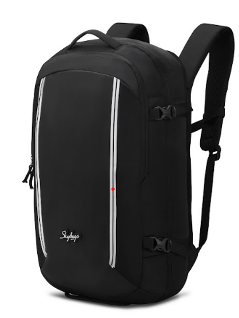 Sky bags casual standard backpack