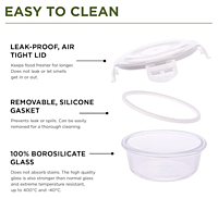 Oliveware pebble Glass Lunch Box