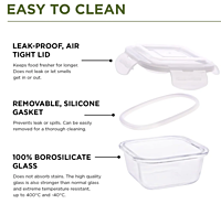 Olive ware Lvi Glass Lunch Box