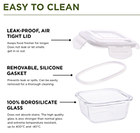 Olive ware Slick Glass Lunch Box