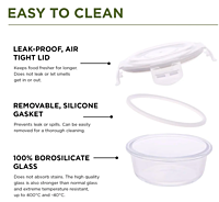 Olive ware Delta Glass Lunch Box