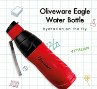 Olive Ware Eagle  Insulated Bottle 500ML