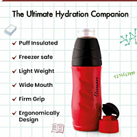 Olive Ware Eagle  Insulated Bottle 500ML