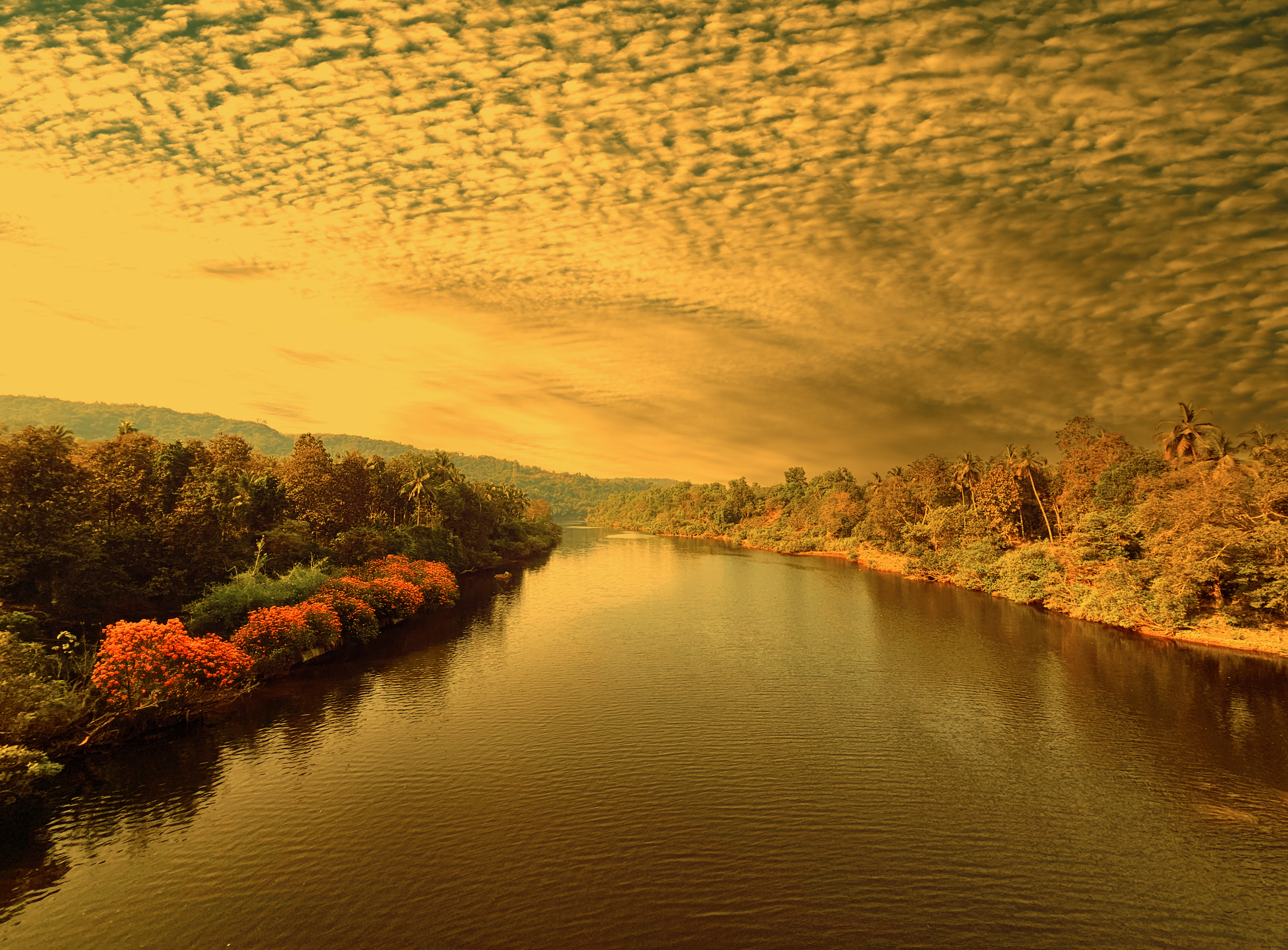 Ethereal Horizons