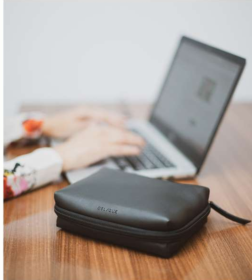 C-Oblique Sally  Tech pouch