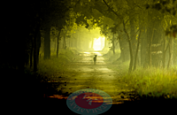 Light at the end of the Tunnel