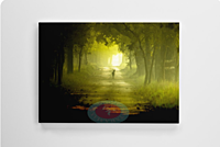 Light at the end of the Tunnel