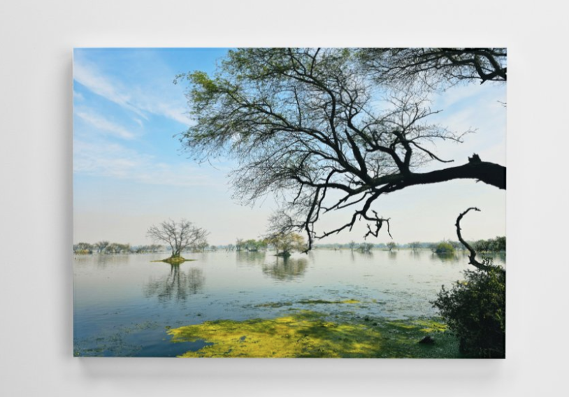 Tranquil Reflections