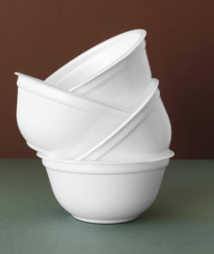  Sugarcane Bowl-10 PCS (EKOPAK)