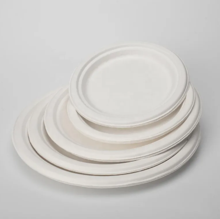 Sugar Cane Round Plate (Packing)