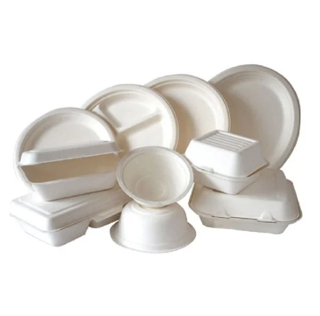 Sugar Cane Square Plate-(Packing)