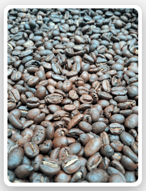 Organic Coffee Bean