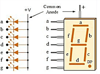 7 Segment Led Display (Common Anode)