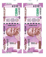 Edible wafer cars TT296