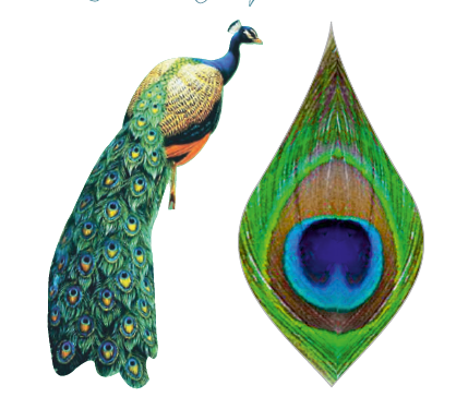 Edible wafer cuts WPC609