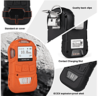 K-10 Single Gas Detector (IP66)