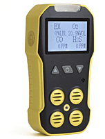 BH-4A 4 in 1 Multi Gas Detector