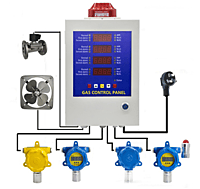 BH-60 Fixed Gas Detector With Display