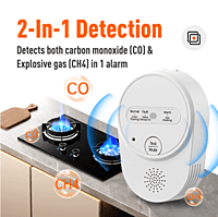 BH-H7 Domestic Gas Alarm