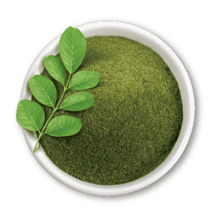 Moringa powder
