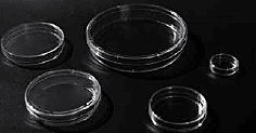 Cell Culture Petri Dish