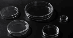 Cell Culture Petri Dish