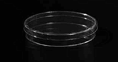 Petri Dish