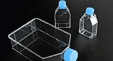 Cell Culture Flask