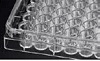 Cell Culture Plate