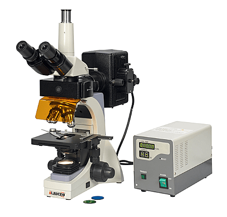 Fluorescent Microscope Series - Almicro