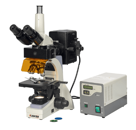 Fluorescent Microscope Series - Almicro