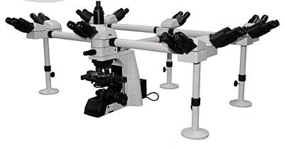Multi-Head Microscope Series - Almicro